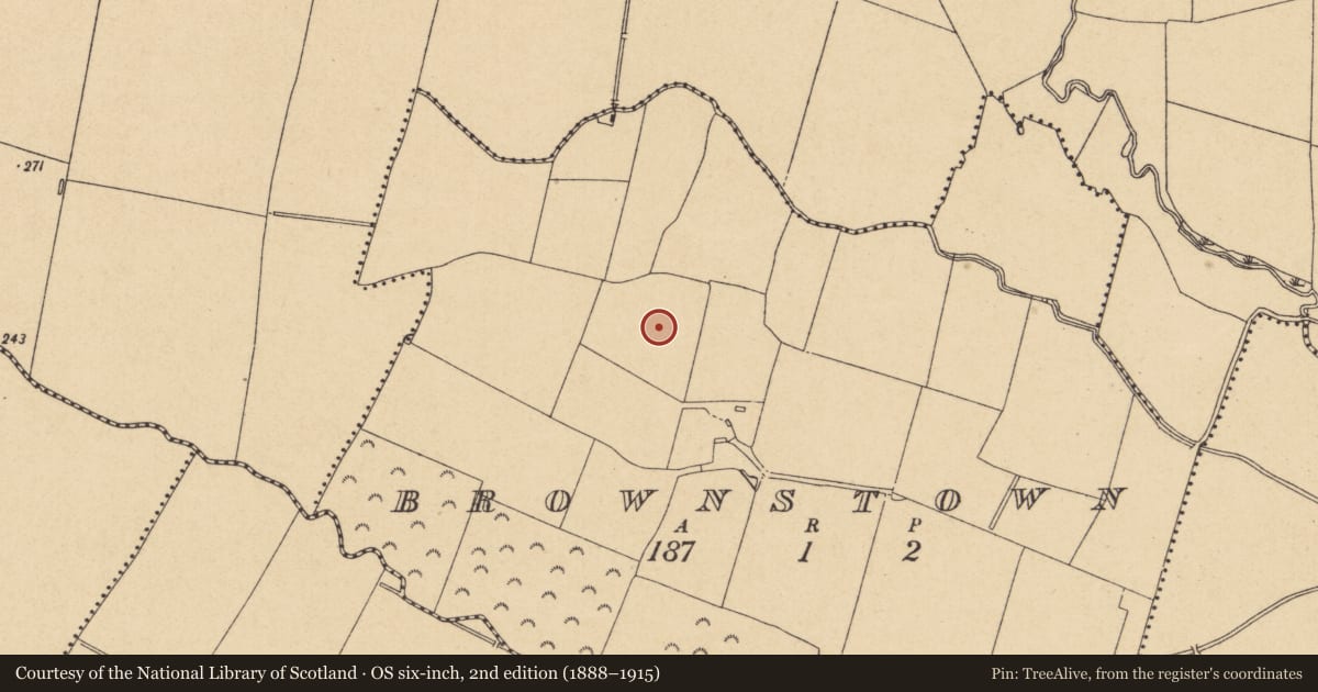 Ordnance Survey six-inch map, 2nd edition (1888–1915) covering the location of Enclosure, Brownstown, County Dublin, with a pin at the register's coordinates