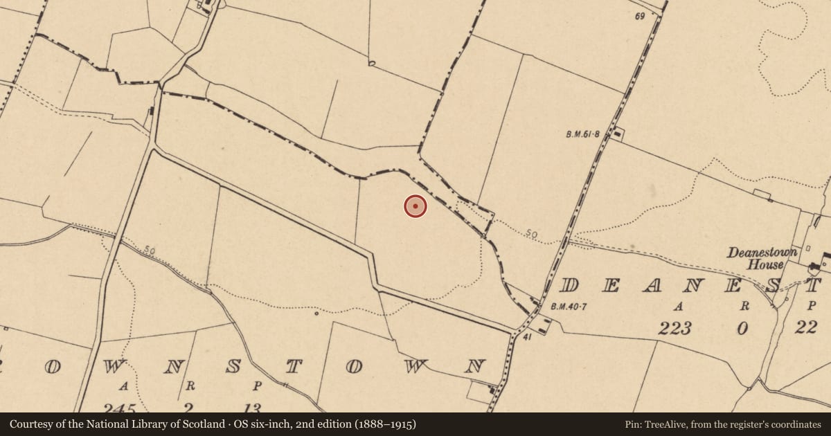 Ordnance Survey six-inch map, 2nd edition (1888–1915) covering the location of Enclosure, Brownstown, County Dublin, with a pin at the register's coordinates