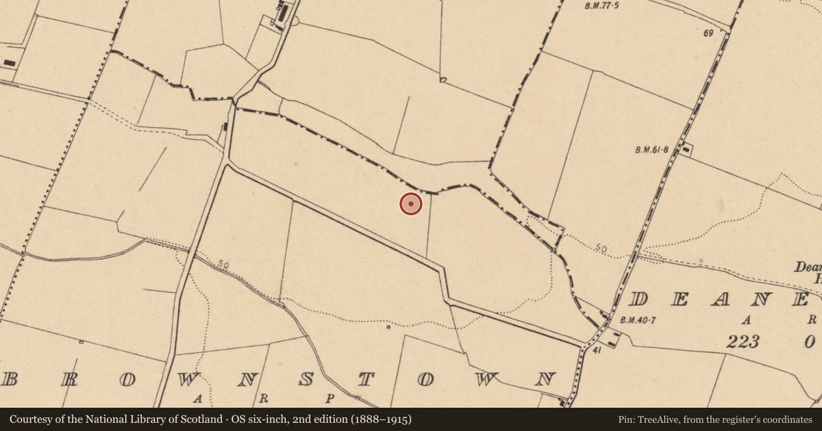 Ordnance Survey six-inch map, 2nd edition (1888–1915) covering the location of Enclosure, Brownstown, County Dublin, with a pin at the register's coordinates