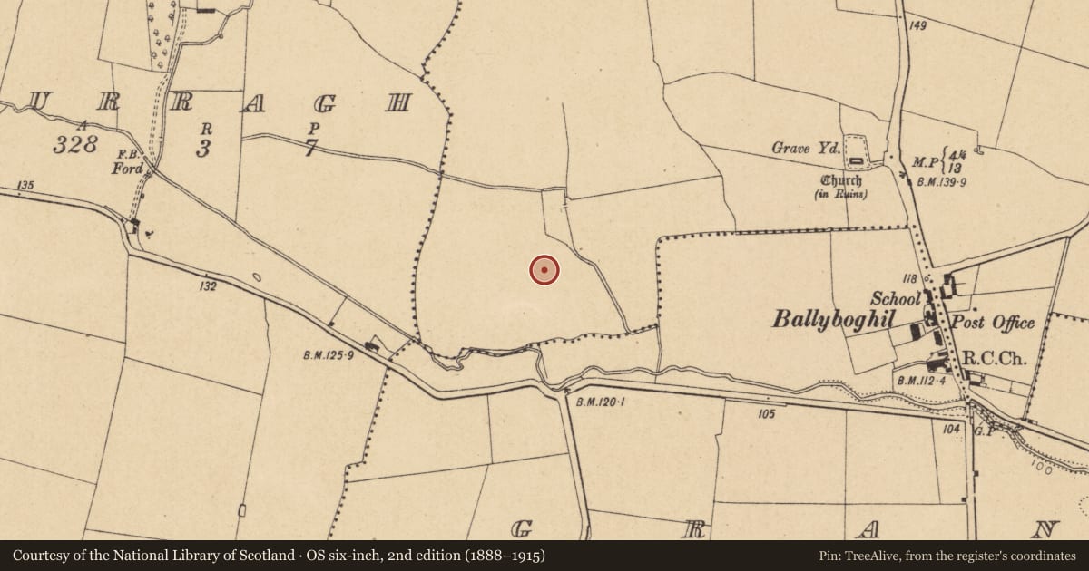 Ordnance Survey six-inch map, 2nd edition (1888–1915) covering the location of Ring-ditch, Ballyboghil, County Dublin, with a pin at the register's coordinates