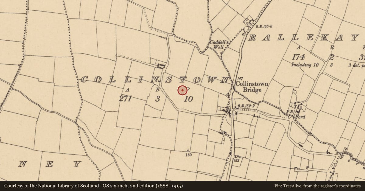 Ordnance Survey six-inch map, 2nd edition (1888–1915) covering the location of Castle - unclassified, Collinstown, County Dublin, with a pin at the register's coordinates