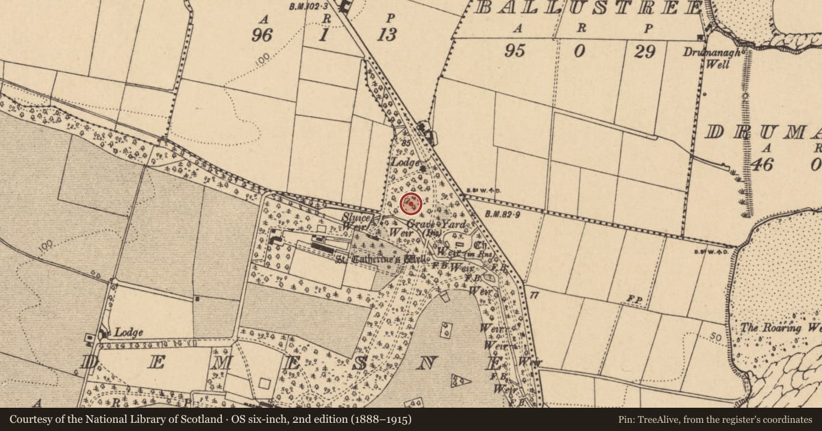Ordnance Survey six-inch map, 2nd edition (1888–1915) covering the location of Castle - tower house, Rush Demesne, County Dublin, with a pin at the register's coordinates