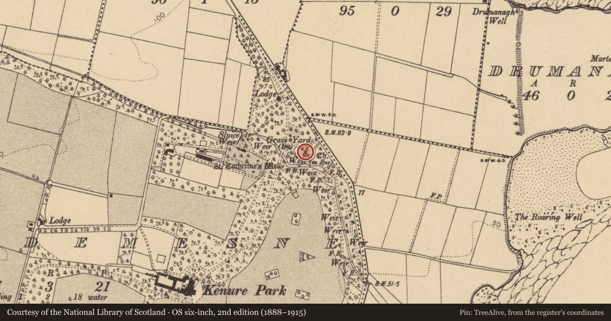 Ordnance Survey six-inch map, 2nd edition (1888–1915) covering the location of Graveyard, Rush Demesne, County Dublin, with a pin at the register's coordinates