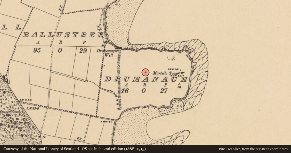 Ordnance Survey six-inch map, 2nd edition (1888–1915) covering the location of Structure, Drumanagh, County Dublin, with a pin at the register's coordinates