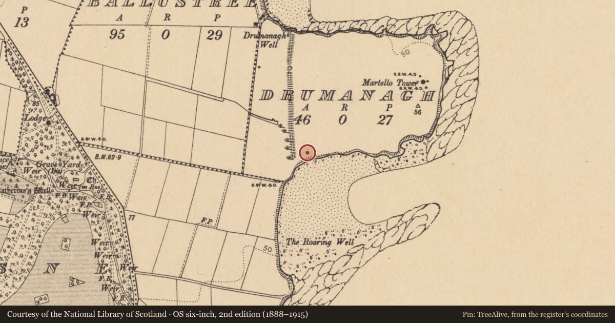 Ordnance Survey six-inch map, 2nd edition (1888–1915) covering the location of Structure, Drumanagh, County Dublin, with a pin at the register's coordinates