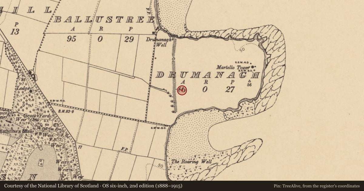 Ordnance Survey six-inch map, 2nd edition (1888–1915) covering the location of Structure, Drumanagh, County Dublin, with a pin at the register's coordinates