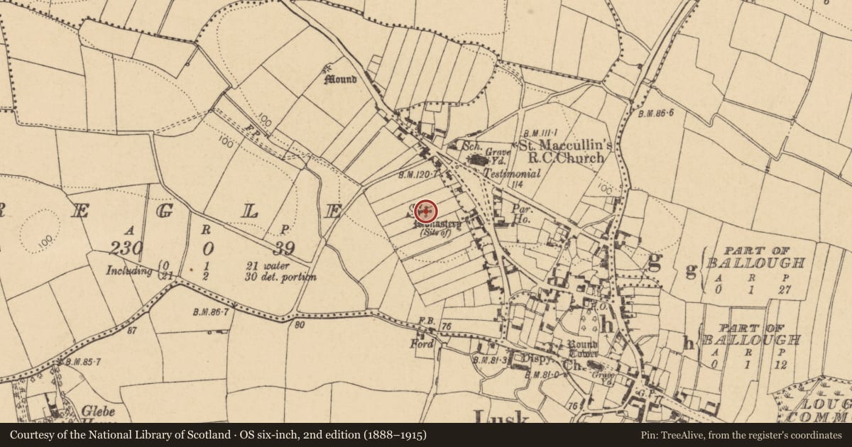 Ordnance Survey six-inch map, 2nd edition (1888–1915) covering the location of Ecclesiastical site, Regles, County Dublin, with a pin at the register's coordinates