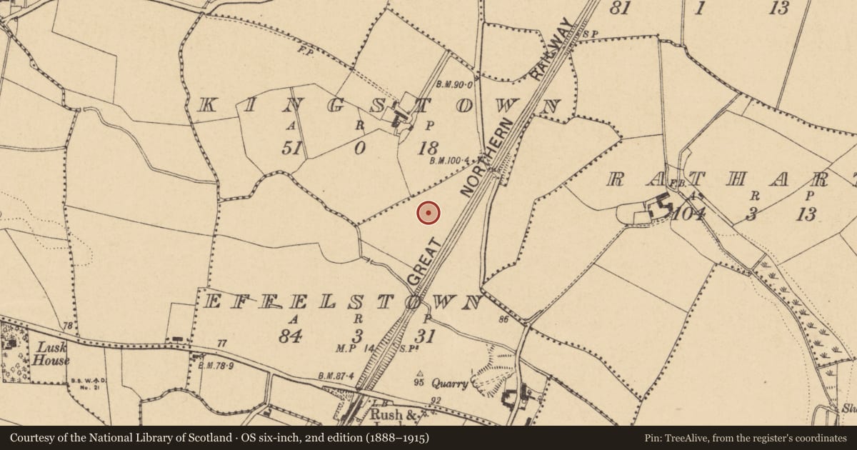 Ordnance Survey six-inch map, 2nd edition (1888–1915) covering the location of Enclosure, Effelstown, County Dublin, with a pin at the register's coordinates
