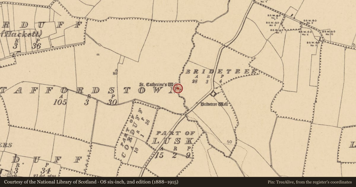 Ordnance Survey six-inch map, 2nd edition (1888–1915) covering the location of Ritual site - holy well, Staffordstown, County Dublin, with a pin at the register's coordinates