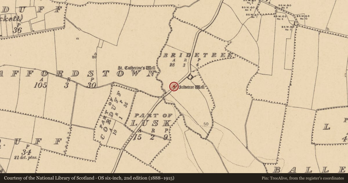 Ordnance Survey six-inch map, 2nd edition (1888–1915) covering the location of Ritual site - holy well, Bridetree, County Dublin, with a pin at the register's coordinates