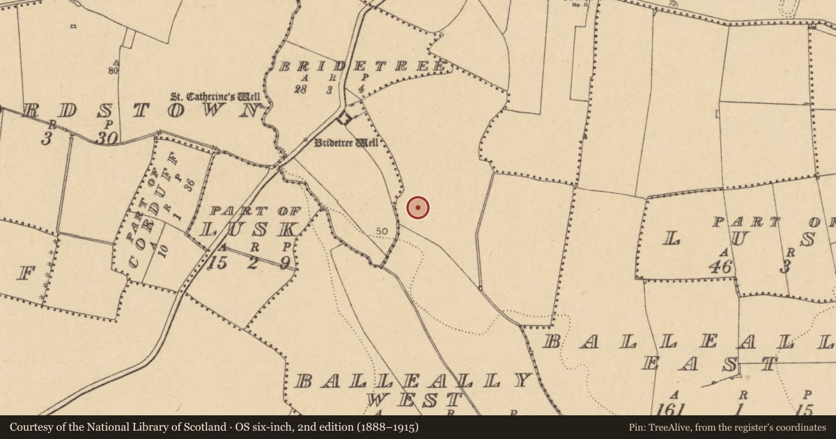 Ordnance Survey six-inch map, 2nd edition (1888–1915) covering the location of Burial mound, Balleally West, County Dublin, with a pin at the register's coordinates
