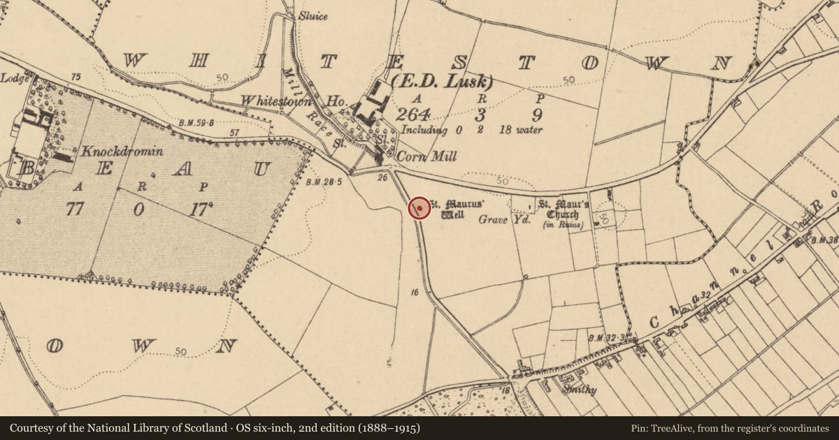 Ordnance Survey six-inch map, 2nd edition (1888–1915) covering the location of Ritual site - holy well, Whitestown, County Dublin, with a pin at the register's coordinates