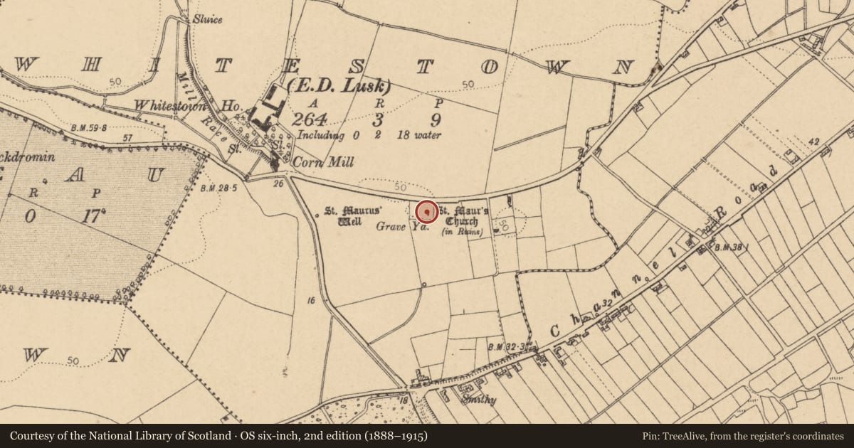 Ordnance Survey six-inch map, 2nd edition (1888–1915) covering the location of Church, Whitestown, County Dublin, with a pin at the register's coordinates