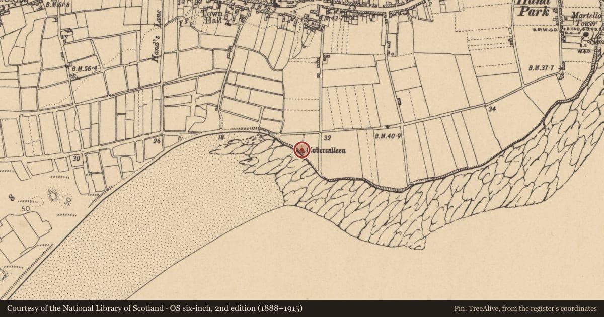Ordnance Survey six-inch map, 2nd edition (1888–1915) covering the location of Ritual site - holy well, Rush, County Dublin, with a pin at the register's coordinates