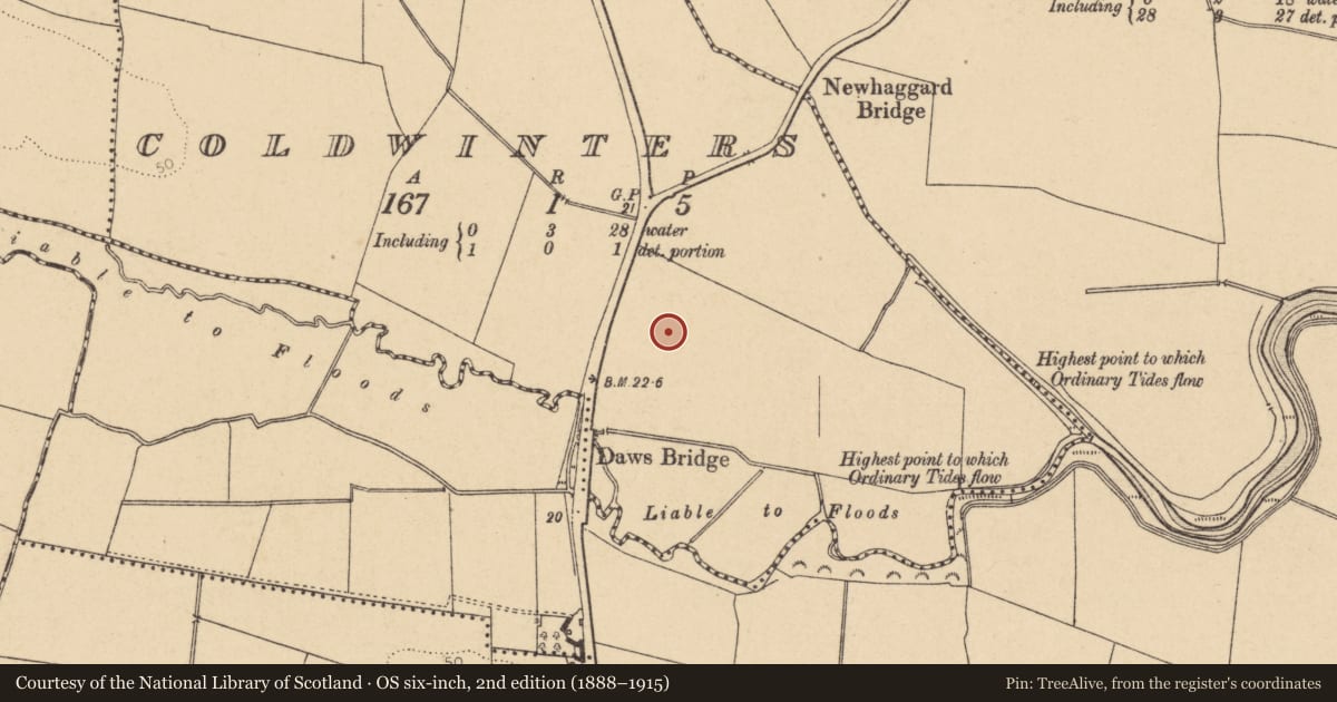 Ordnance Survey six-inch map, 2nd edition (1888–1915) covering the location of Burial, Coldwinters, County Dublin, with a pin at the register's coordinates