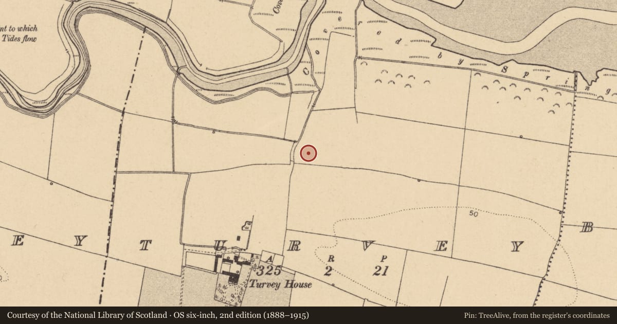 Ordnance Survey six-inch map, 2nd edition (1888–1915) covering the location of Enclosure, Turvey, County Dublin, with a pin at the register's coordinates