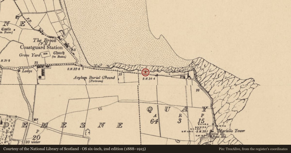 Ordnance Survey six-inch map, 2nd edition (1888–1915) covering the location of Burial, Quay, County Dublin, with a pin at the register's coordinates