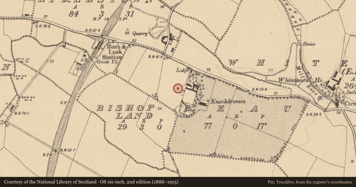 Ordnance Survey six-inch map, 2nd edition (1888–1915) covering the location of Cist, Beau, County Dublin, with a pin at the register's coordinates