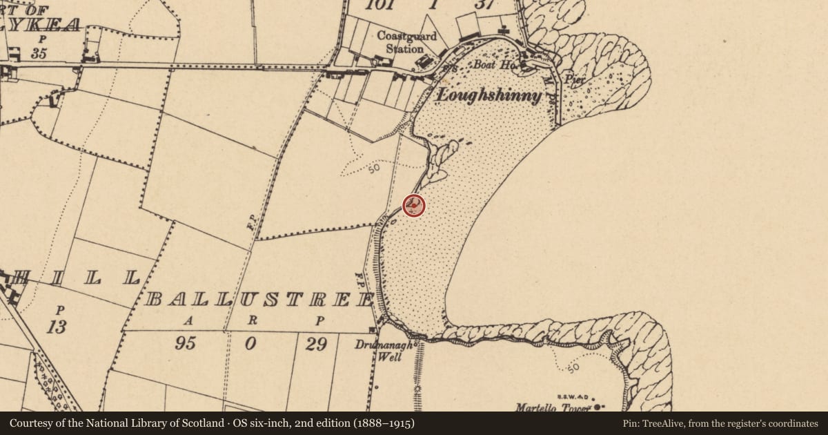 Ordnance Survey six-inch map, 2nd edition (1888–1915) covering the location of Enclosure, Loughshinny, County Dublin, with a pin at the register's coordinates