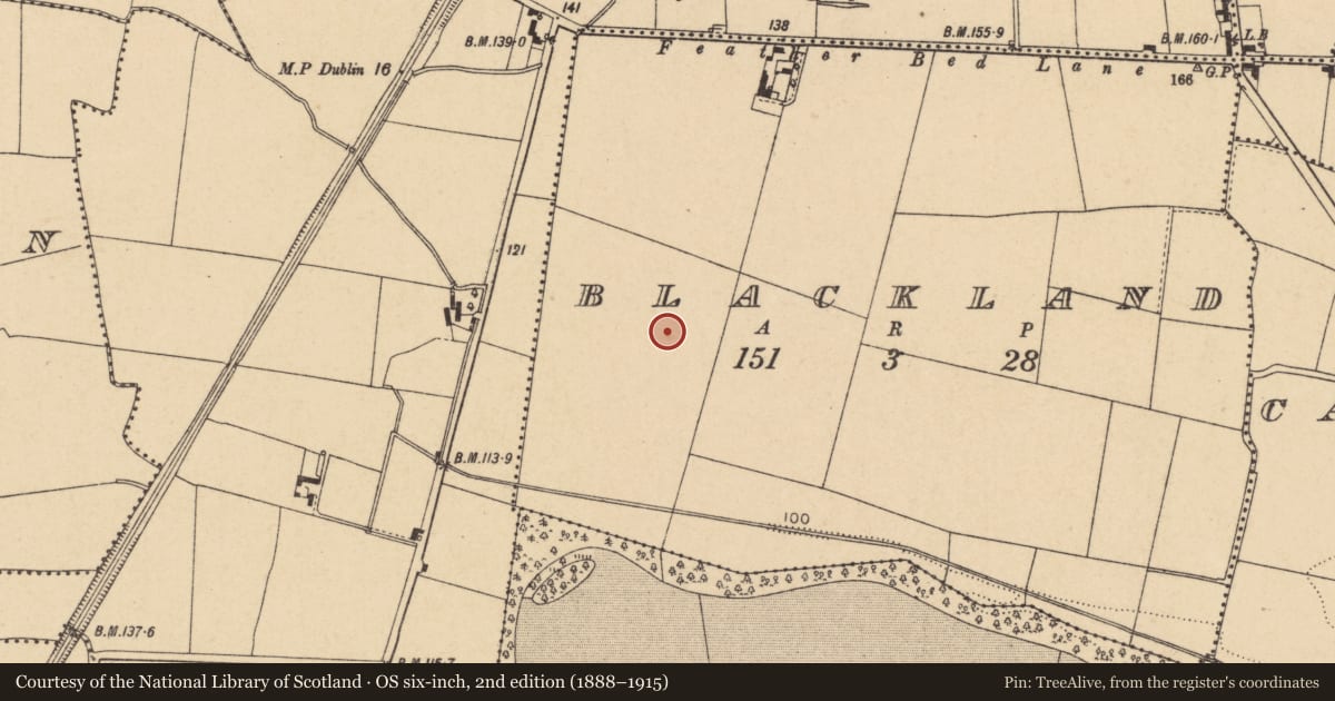 Ordnance Survey six-inch map, 2nd edition (1888–1915) covering the location of Enclosure, Blackland, County Dublin, with a pin at the register's coordinates