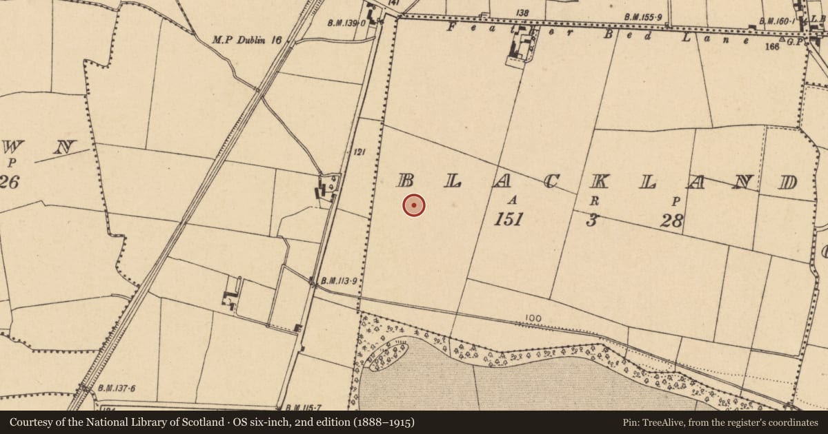 Ordnance Survey six-inch map, 2nd edition (1888–1915) covering the location of Field system, Blackland, County Dublin, with a pin at the register's coordinates