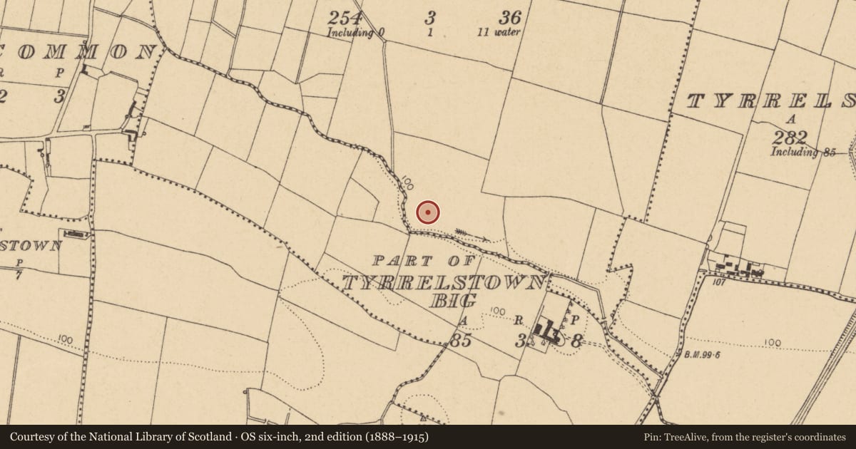 Ordnance Survey six-inch map, 2nd edition (1888–1915) covering the location of Habitation site, Tyrrelstown Little, County Dublin, with a pin at the register's coordinates