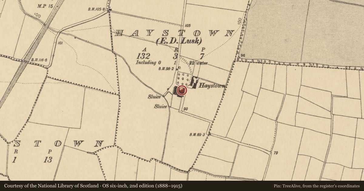 Ordnance Survey six-inch map, 2nd edition (1888–1915) covering the location of House - 18th/19th century, Haystown, County Dublin, with a pin at the register's coordinates