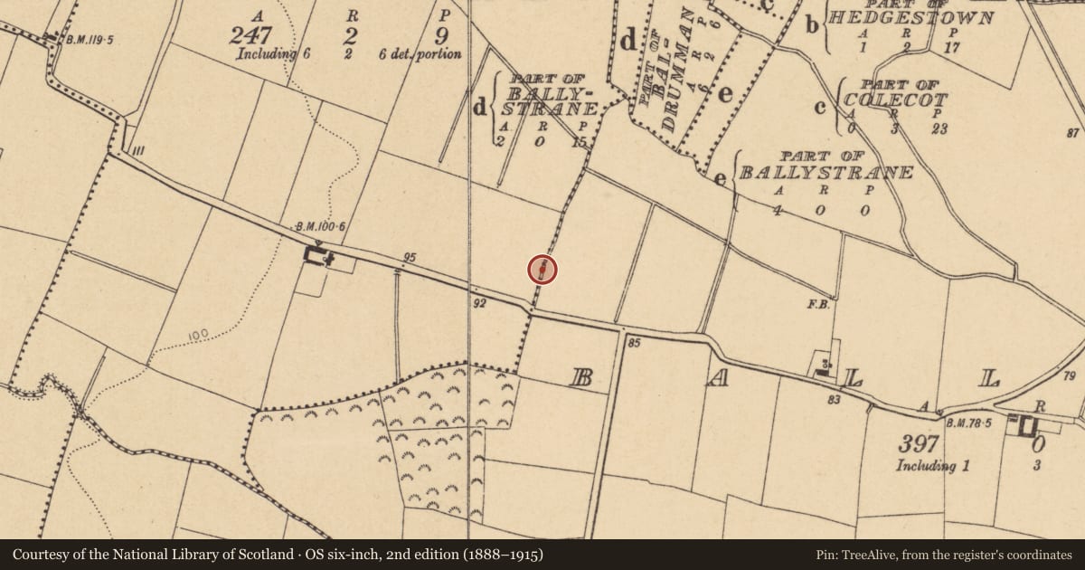 Ordnance Survey six-inch map, 2nd edition (1888–1915) covering the location of Field system, Ballough, County Dublin, with a pin at the register's coordinates
