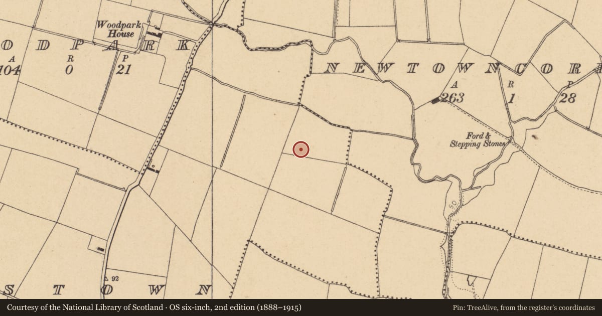 Ordnance Survey six-inch map, 2nd edition (1888–1915) covering the location of Fulacht fia, Woodpark, County Dublin, with a pin at the register's coordinates