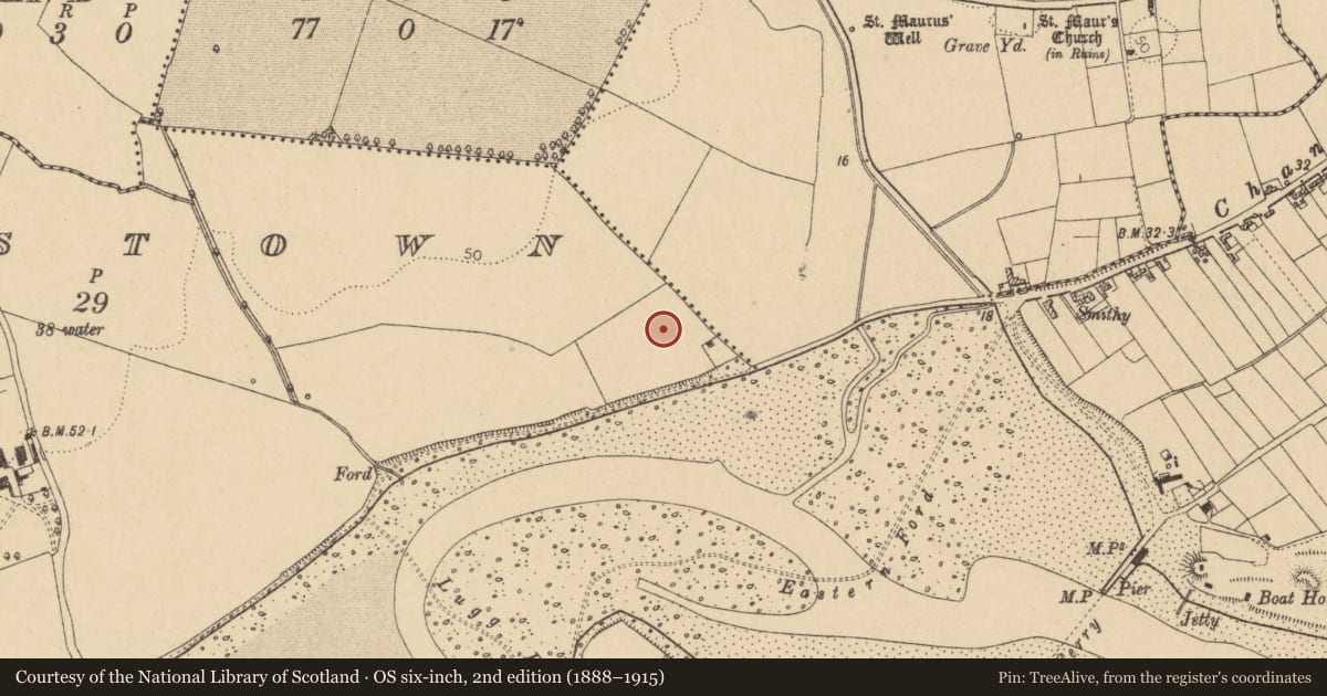Ordnance Survey six-inch map, 2nd edition (1888–1915) covering the location of Field system, Rogerstown, County Dublin, with a pin at the register's coordinates