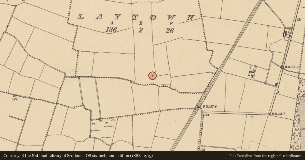 Ordnance Survey six-inch map, 2nd edition (1888–1915) covering the location of Enclosure, Laytown, County Dublin, with a pin at the register's coordinates