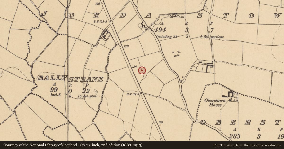 Ordnance Survey six-inch map, 2nd edition (1888–1915) covering the location of Kiln - corn-drying, Jordanstown, County Dublin, with a pin at the register's coordinates