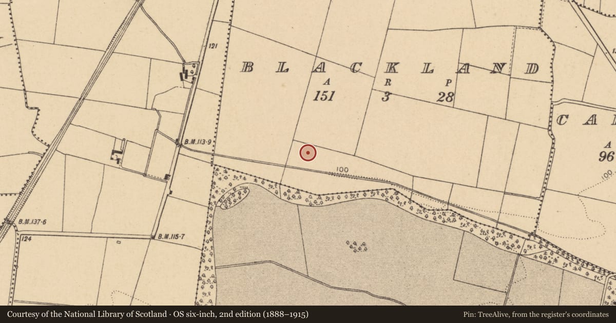 Ordnance Survey six-inch map, 2nd edition (1888–1915) covering the location of Enclosure, Blackland, County Dublin, with a pin at the register's coordinates