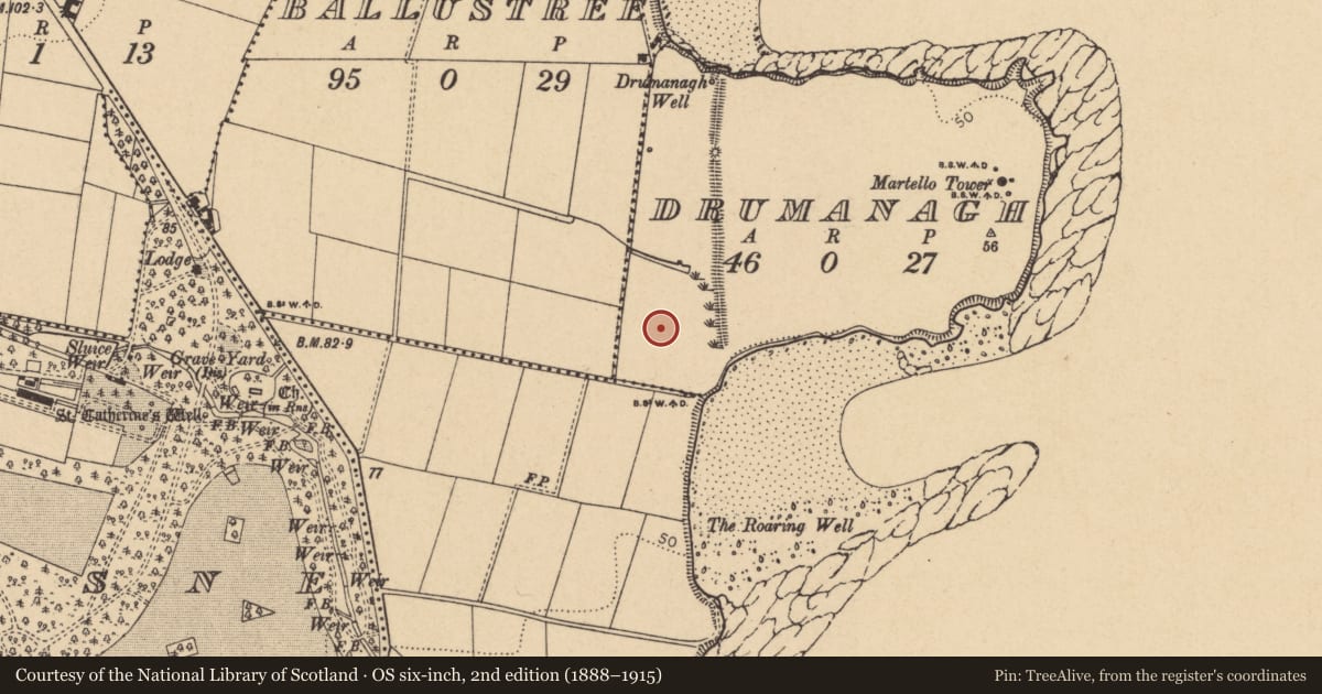 Ordnance Survey six-inch map, 2nd edition (1888–1915) covering the location of Enclosure, Drumanagh, County Dublin, with a pin at the register's coordinates