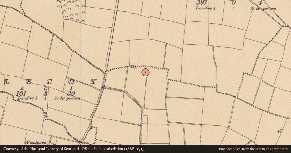 Ordnance Survey six-inch map, 2nd edition (1888–1915) covering the location of Pit, Ballough, County Dublin, with a pin at the register's coordinates