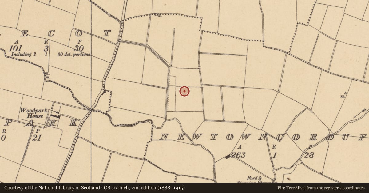Ordnance Survey six-inch map, 2nd edition (1888–1915) covering the location of Enclosure, Newtowncorduff, County Dublin, with a pin at the register's coordinates