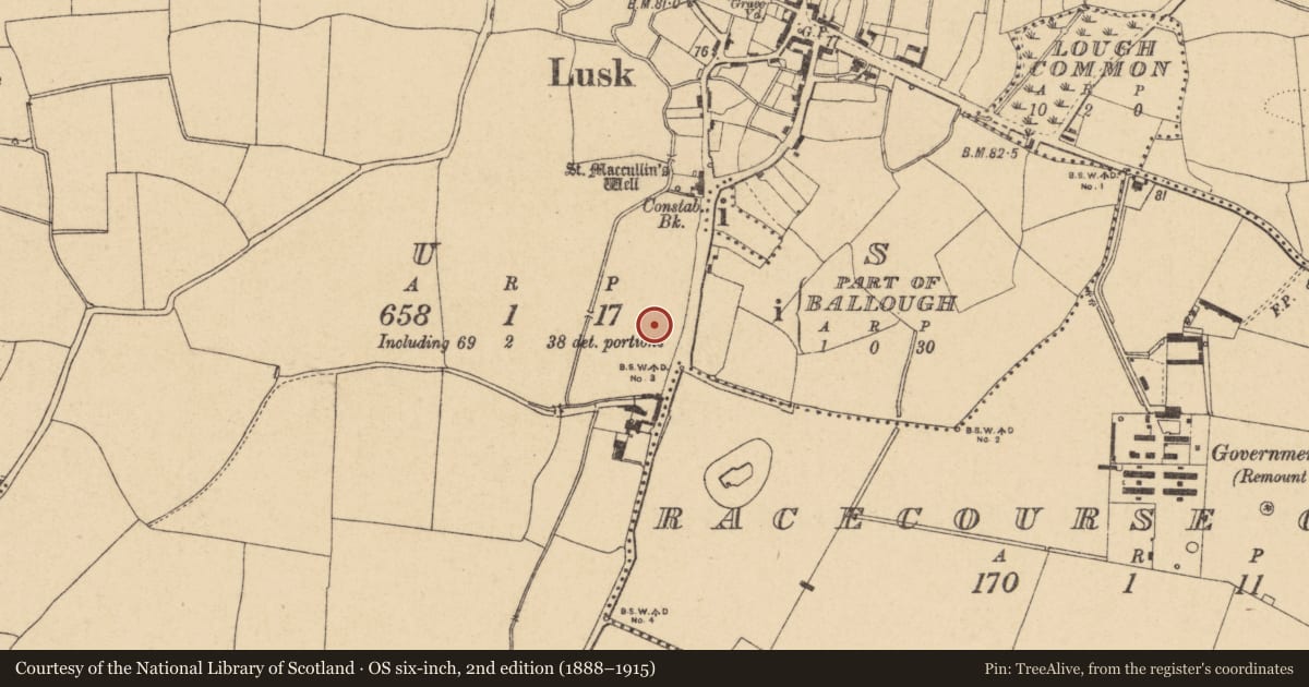 Ordnance Survey six-inch map, 2nd edition (1888–1915) covering the location of Cremation pit, Lusk, County Dublin, with a pin at the register's coordinates