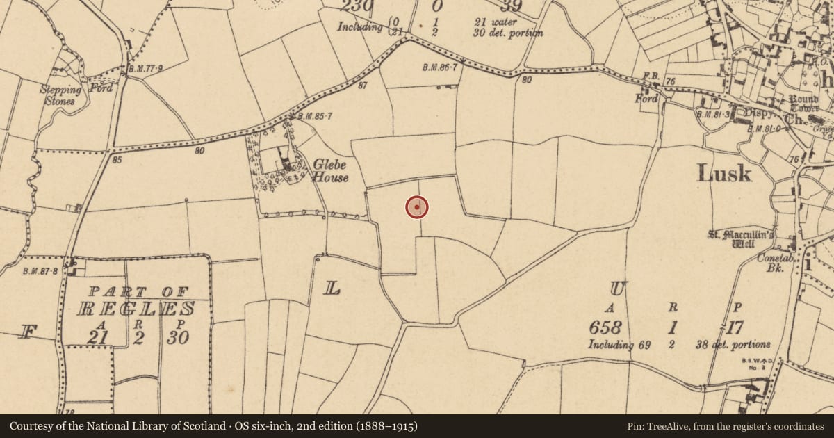 Ordnance Survey six-inch map, 2nd edition (1888–1915) covering the location of Enclosure, Lusk, County Dublin, with a pin at the register's coordinates