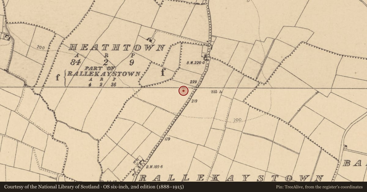 Ordnance Survey six-inch map, 2nd edition (1888–1915) covering the location of Ring-ditch, Collinstown, County Dublin, with a pin at the register's coordinates