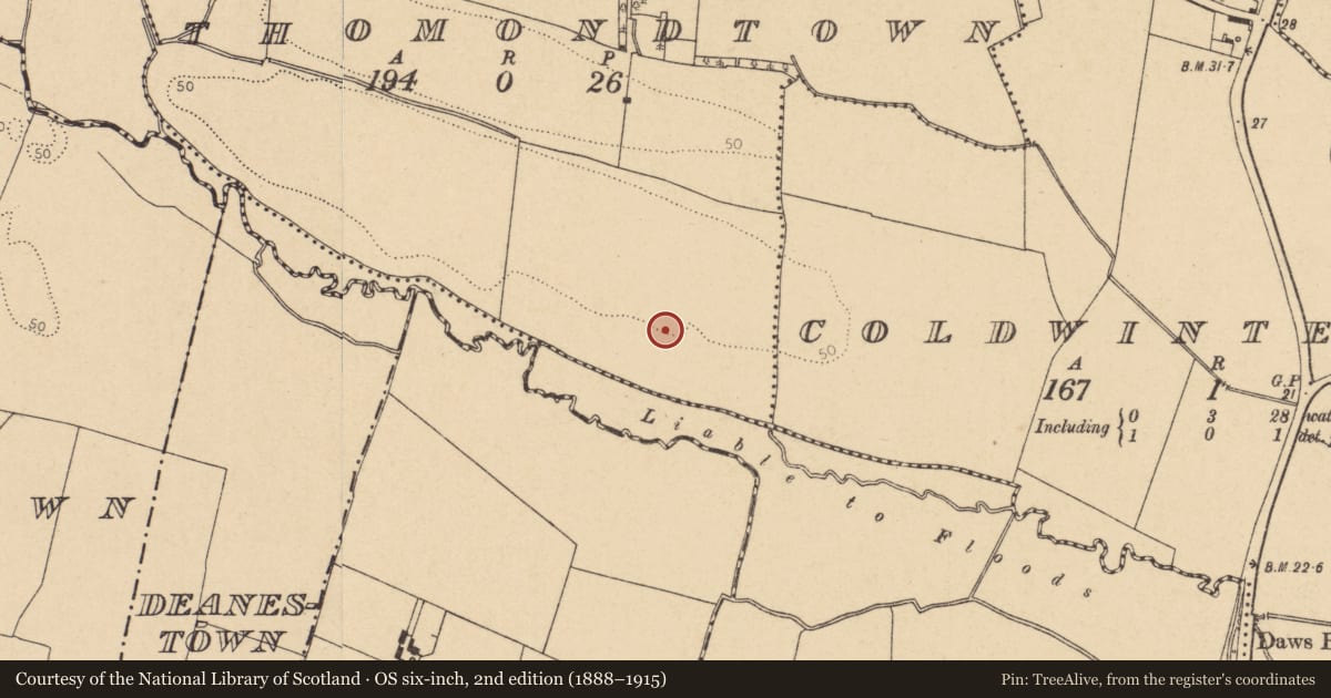 Ordnance Survey six-inch map, 2nd edition (1888–1915) covering the location of Field system, Thomondtown, County Dublin, with a pin at the register's coordinates