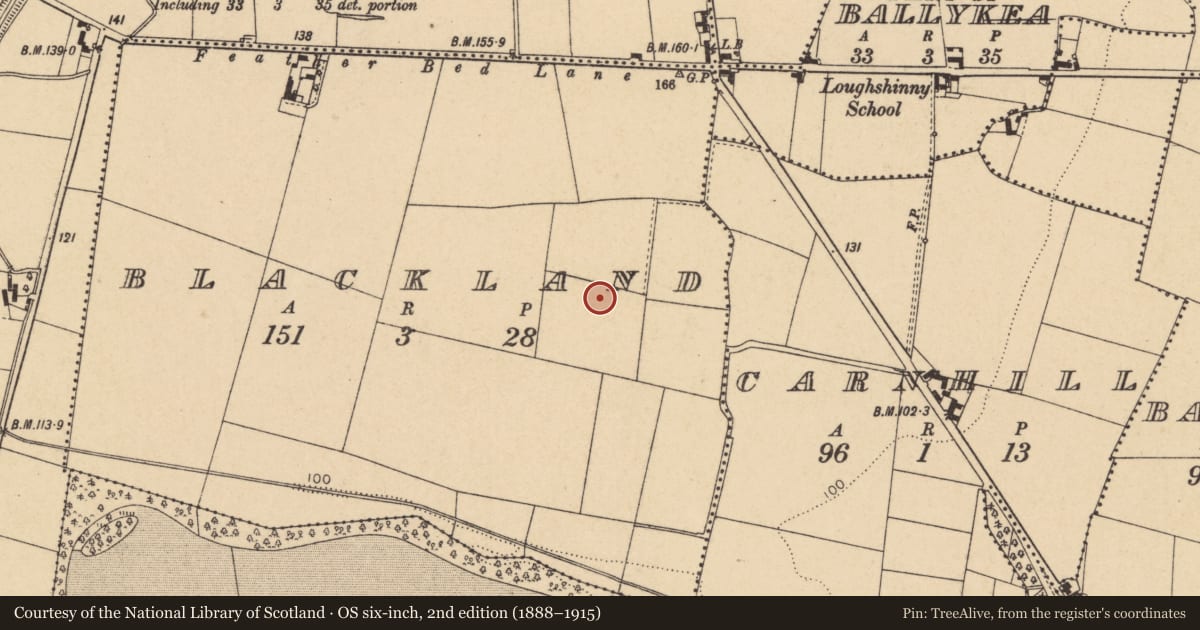 Ordnance Survey six-inch map, 2nd edition (1888–1915) covering the location of Earthwork, Blackland, County Dublin, with a pin at the register's coordinates