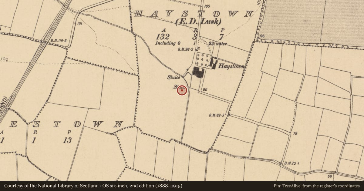 Ordnance Survey six-inch map, 2nd edition (1888–1915) covering the location of Earthwork, Haystown, County Dublin, with a pin at the register's coordinates