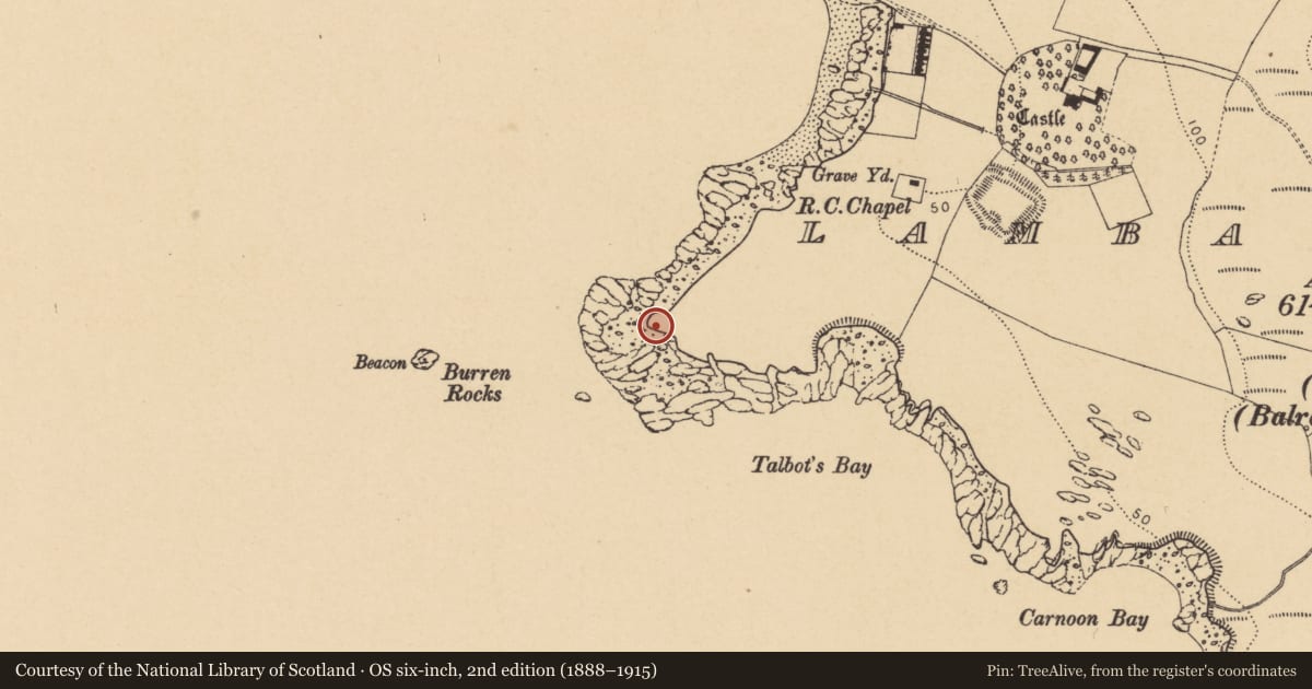 Ordnance Survey six-inch map, 2nd edition (1888–1915) covering the location of Burial ground, Lambay Island, County Dublin, with a pin at the register's coordinates