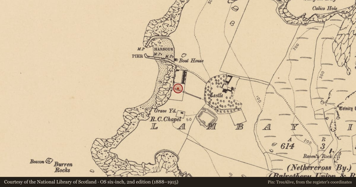 Ordnance Survey six-inch map, 2nd edition (1888–1915) covering the location of Burial ground, Lambay Island, County Dublin, with a pin at the register's coordinates