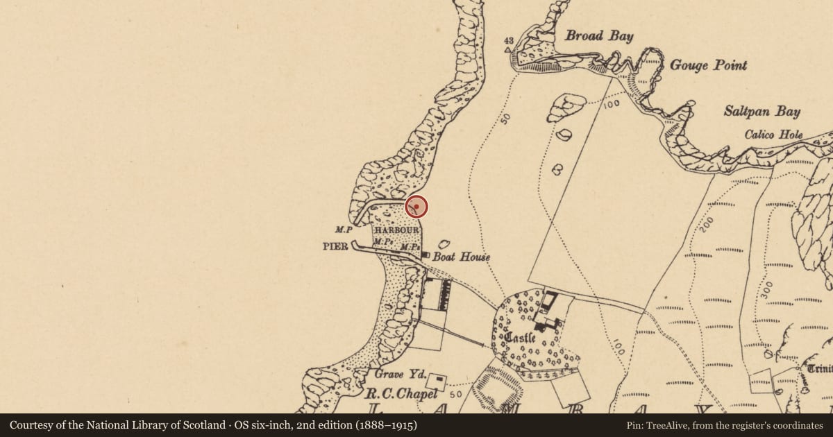 Ordnance Survey six-inch map, 2nd edition (1888–1915) covering the location of Burial, Lambay Island, County Dublin, with a pin at the register's coordinates