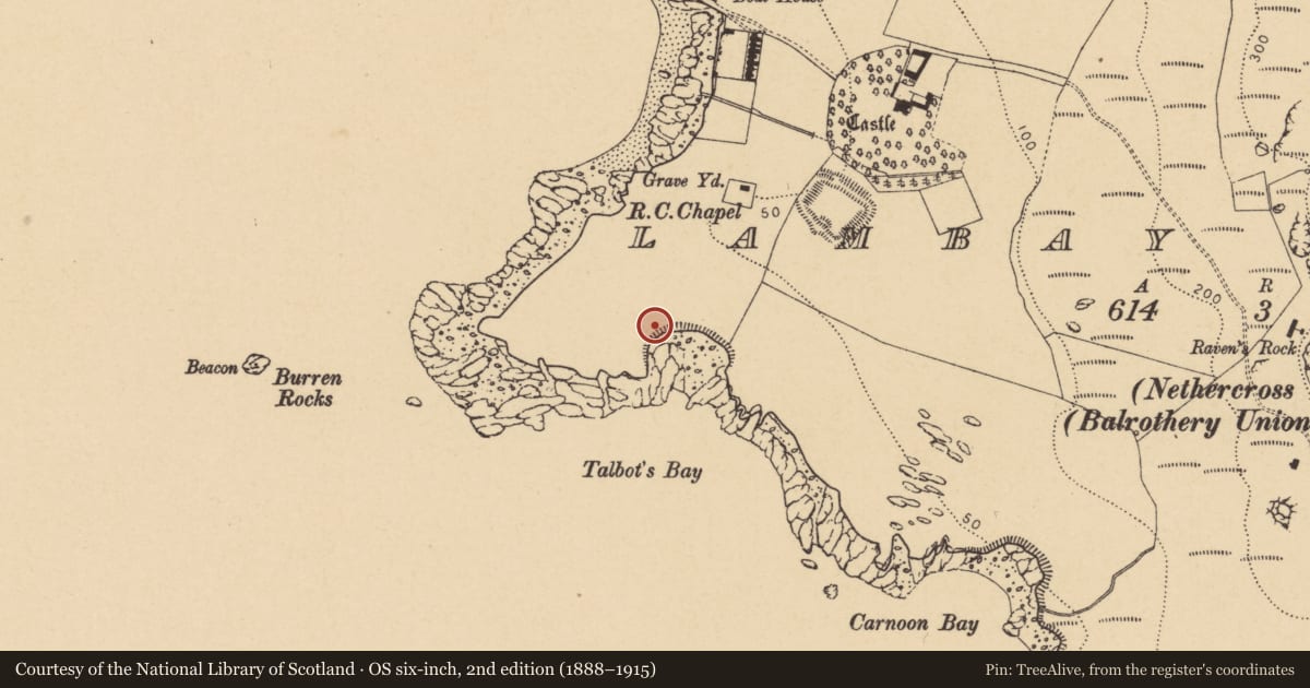 Ordnance Survey six-inch map, 2nd edition (1888–1915) covering the location of Flat cemetery, Lambay Island, County Dublin, with a pin at the register's coordinates