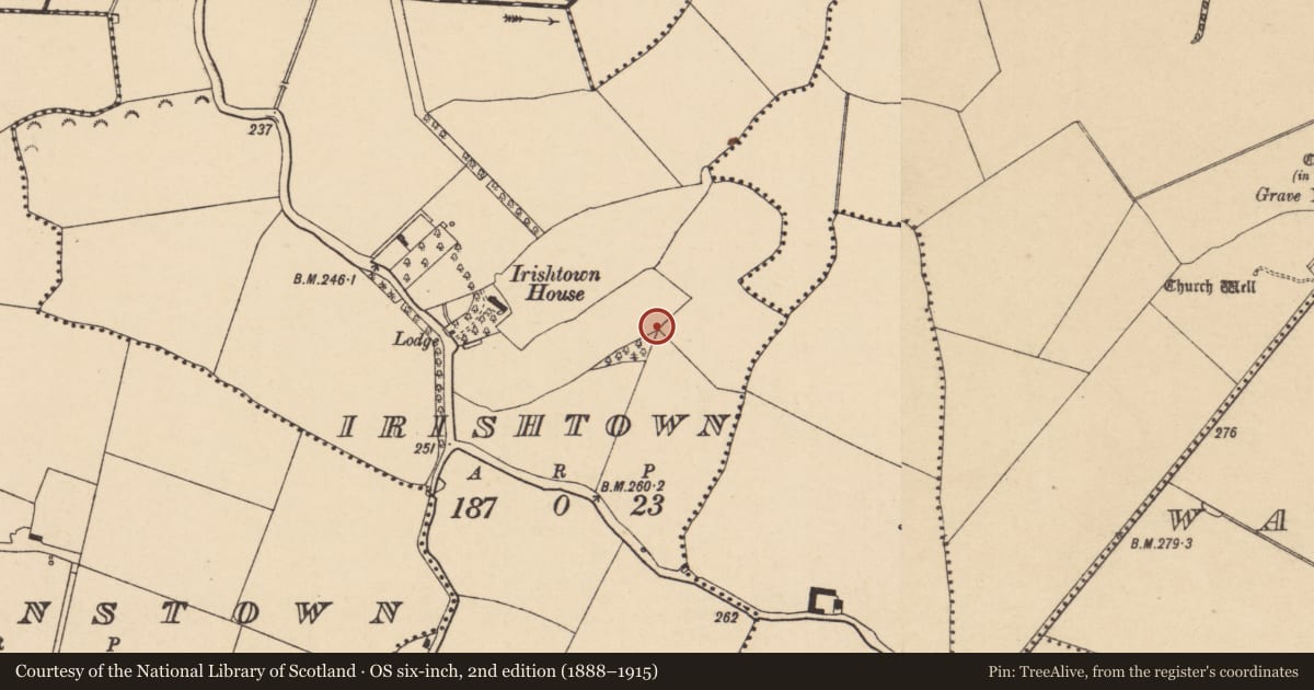 Ordnance Survey six-inch map, 2nd edition (1888–1915) covering the location of Road - road/trackway, Irishtown, County Dublin, with a pin at the register's coordinates