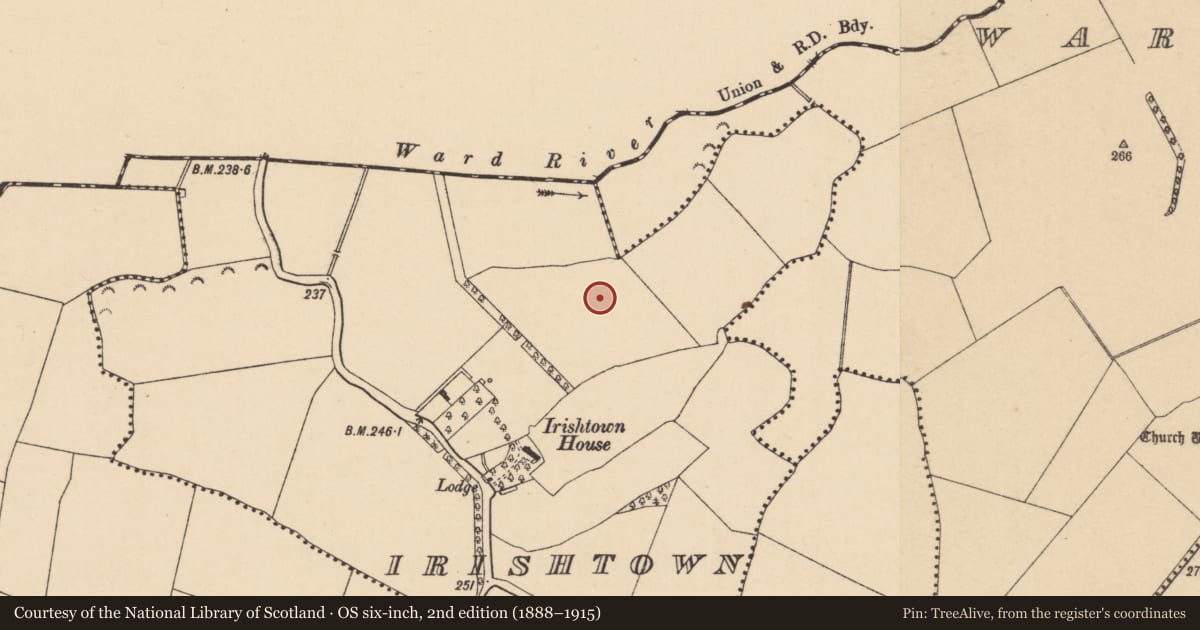 Ordnance Survey six-inch map, 2nd edition (1888–1915) covering the location of Ring-ditch, Irishtown, County Dublin, with a pin at the register's coordinates
