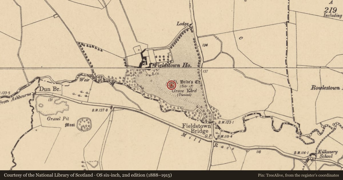 Ordnance Survey six-inch map, 2nd edition (1888–1915) covering the location of Graveyard, Fieldstown, County Dublin, with a pin at the register's coordinates