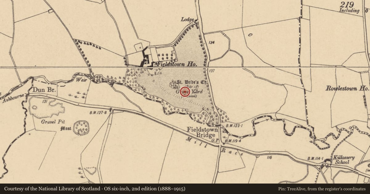 Ordnance Survey six-inch map, 2nd edition (1888–1915) covering the location of Field system, Fieldstown, County Dublin, with a pin at the register's coordinates